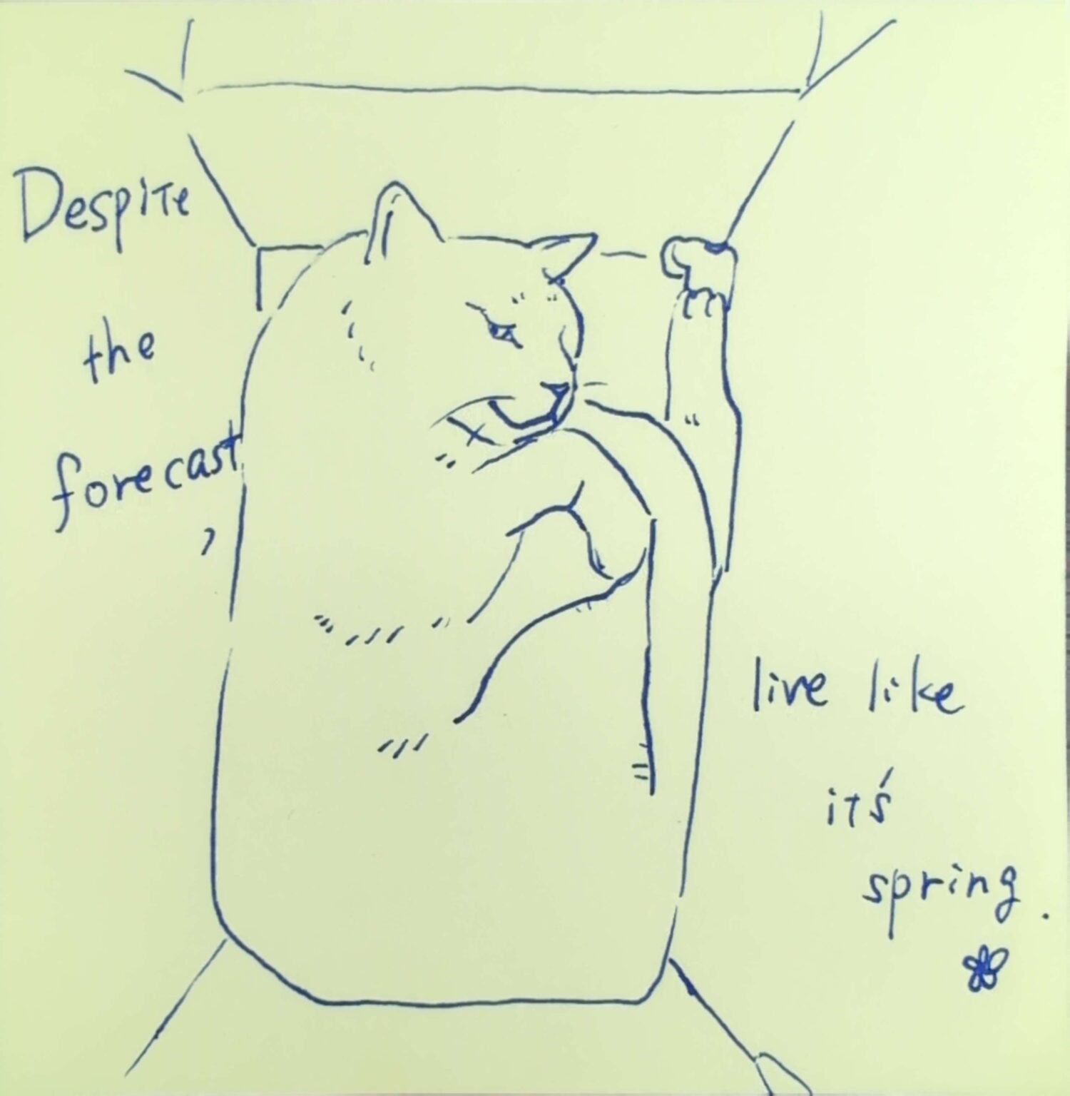 箱に入る猫のイラスト