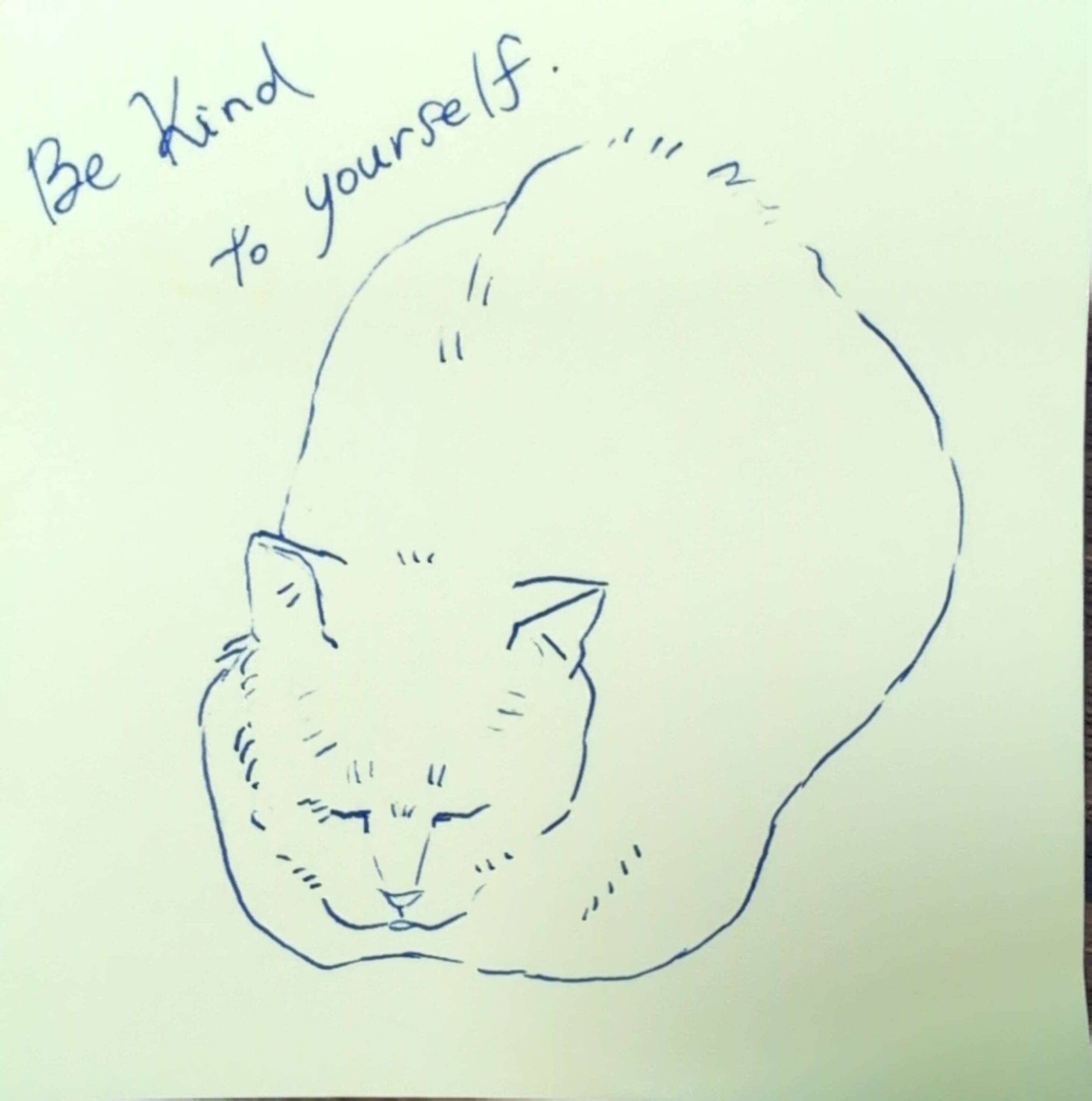 猫のイラスト