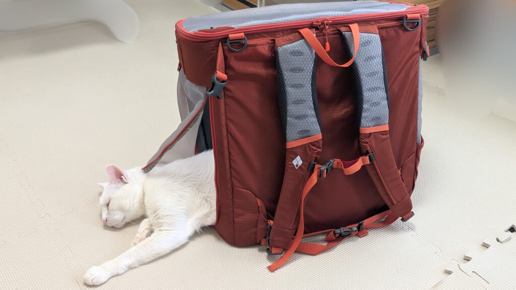 ドッグキャリングバックと猫