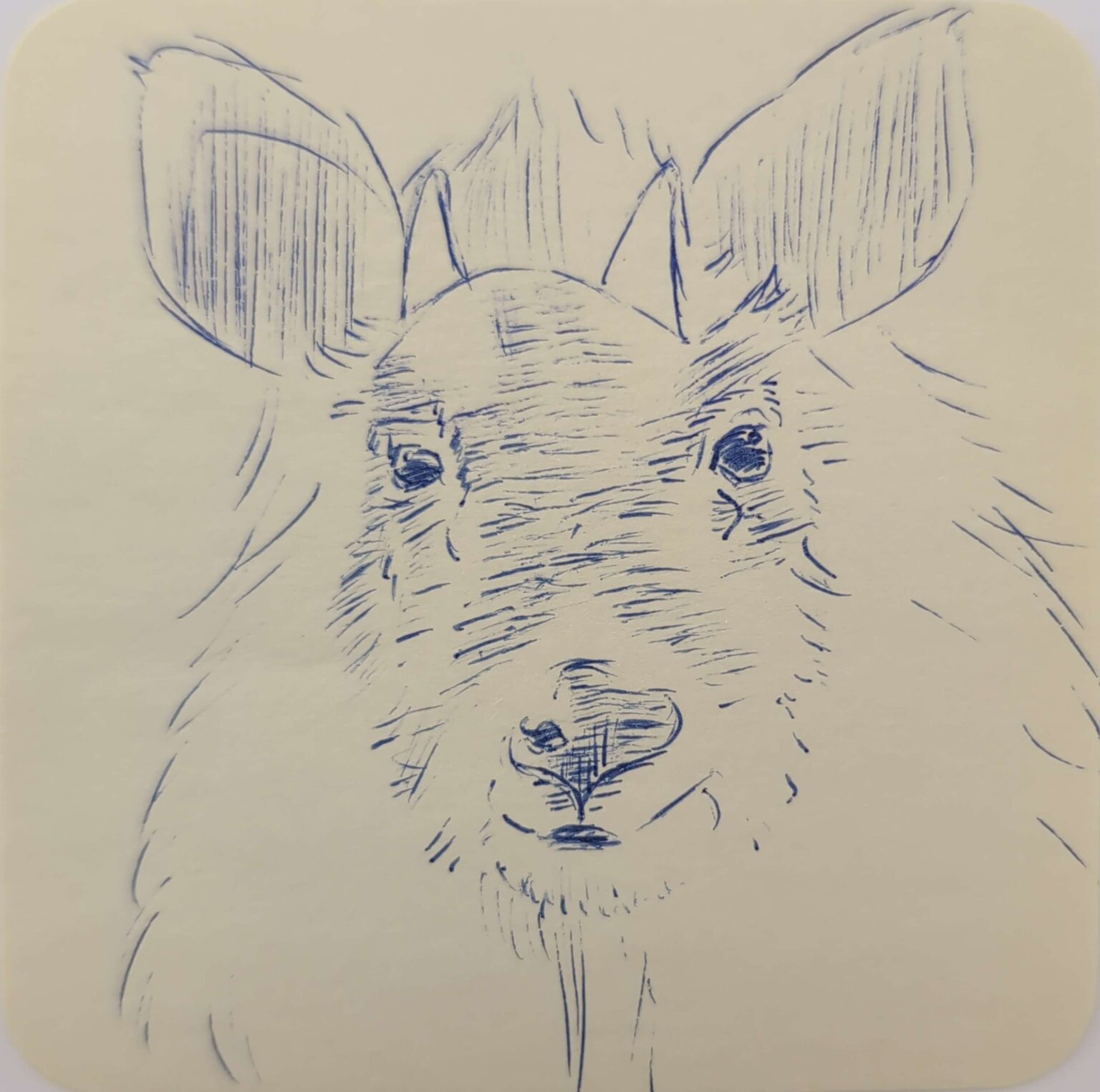 ニホンカモシカのイラスト