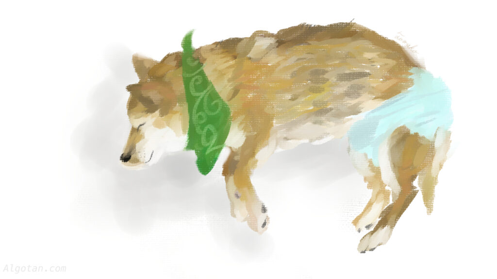 寝てる犬