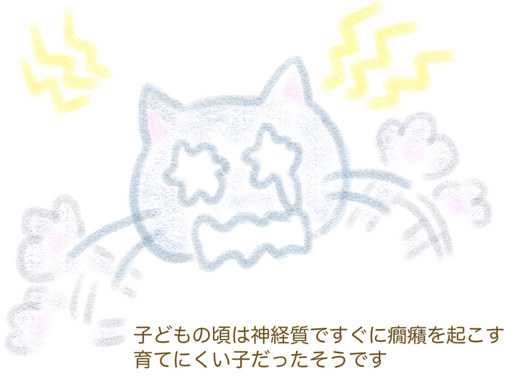 泣く猫のイラスト